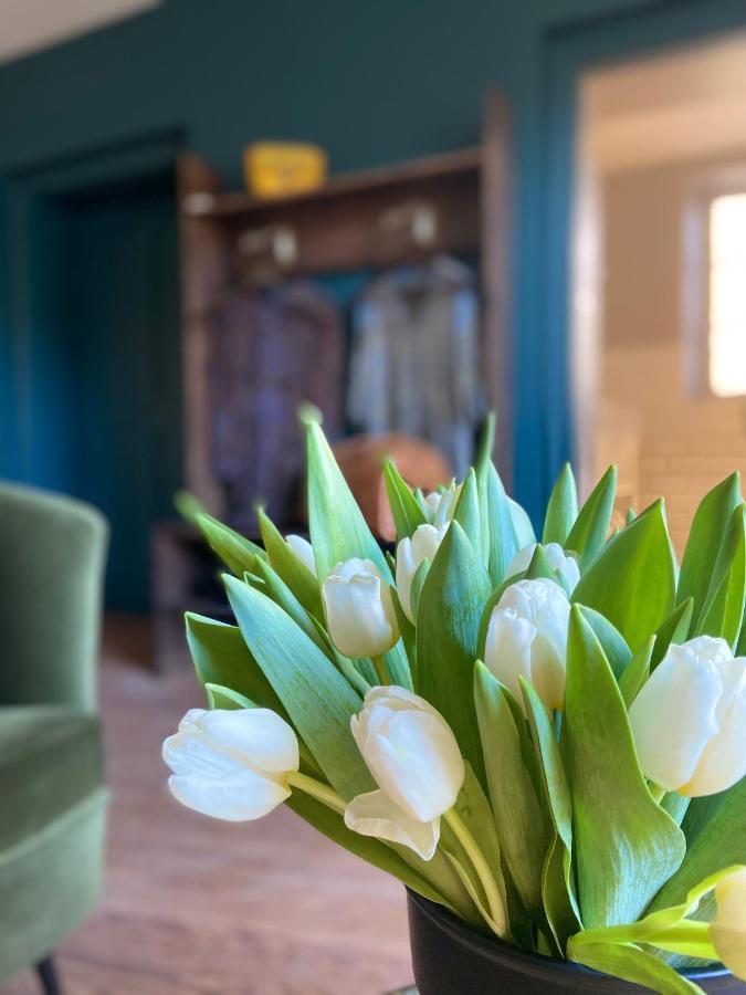 ロマン・シュル・イゼール La Tour Yveline Bed & Breakfast エクステリア 写真